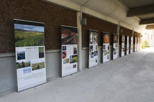 Photo vinothèque et un parcours process Champagne Collet