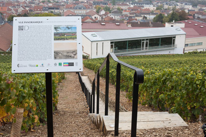 Photo d’un parcours à flanc de coteau des vignes