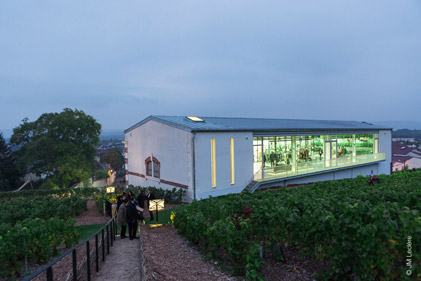 Photo d’un parcours à flanc de coteau des vignes