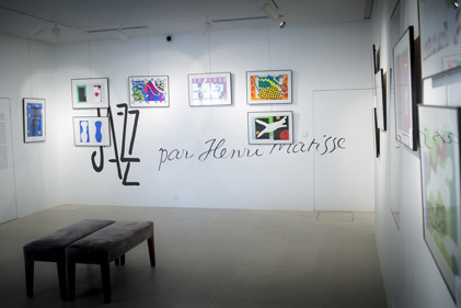 Photo de l'exposition de Colin à Matisse