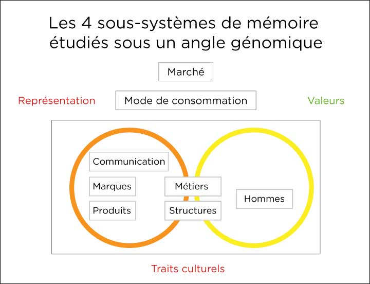 Schéma 4 sous-systèmes de mémoire étudiés sous un angle génomique