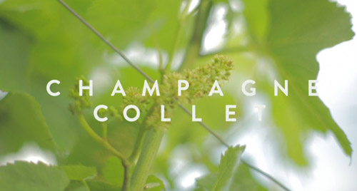 capture vidéo Film Corporate Champagne Collet