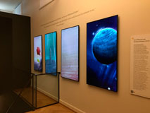 Image Le Petit Prince et son univers